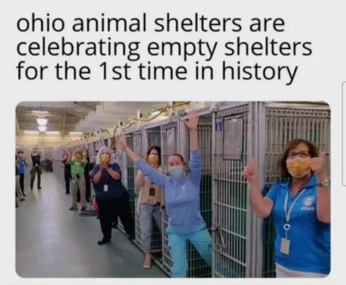 image_259781C4-01AD-49DA-ABE8-38E6A5D37995