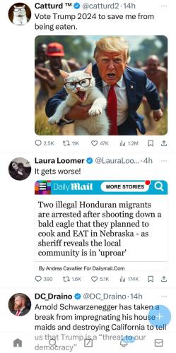 photo_2024-09-09_23-31-11