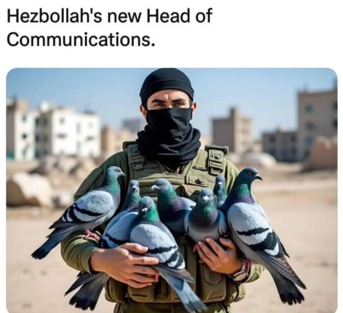 Screenshot_20240918_154228_Instagram