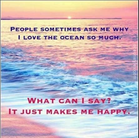 48128ECC-1714-42C3-8238-33C41701A1F4