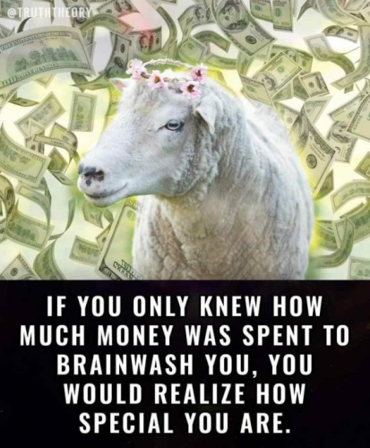 image_2024-09-11_061819325