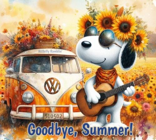 460627449_1065927911568988_2819172031401677471_n