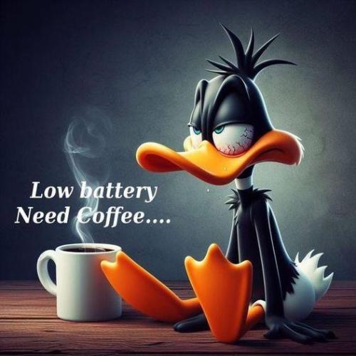 458302893_122158240142108038_7952433396772733210_n