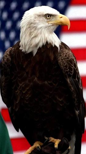 21:10:58 GMT-0500 (CDT)