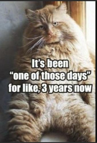 0c701a9ff6cba00eda97bfd0e521501b