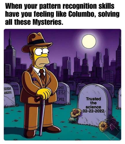 image_AC327E39-7329-437B-9EE3-297B08B21972