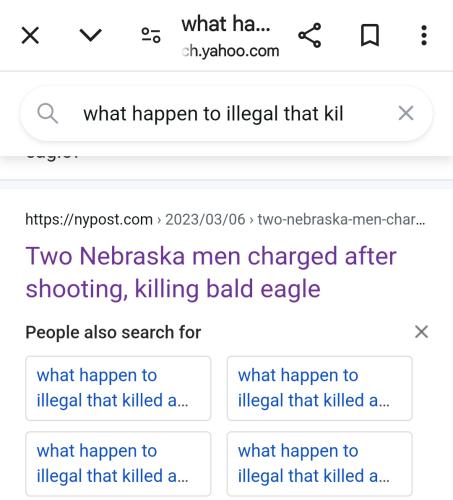 Screenshot_20240911_082009_Chrome