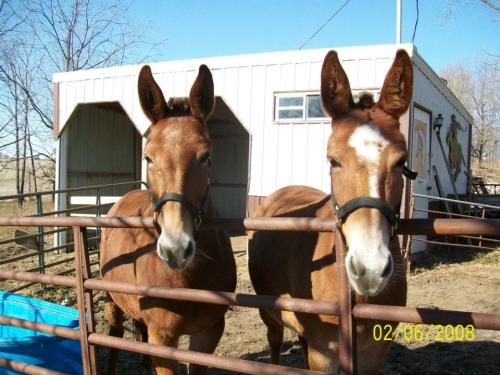 189166_137143419766460_1269429020_n