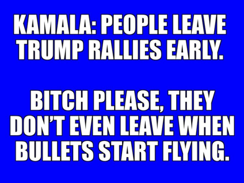 image_2024-09-14_181913846