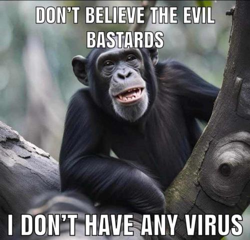 455675190_890080469607325_3581896052354269813_n