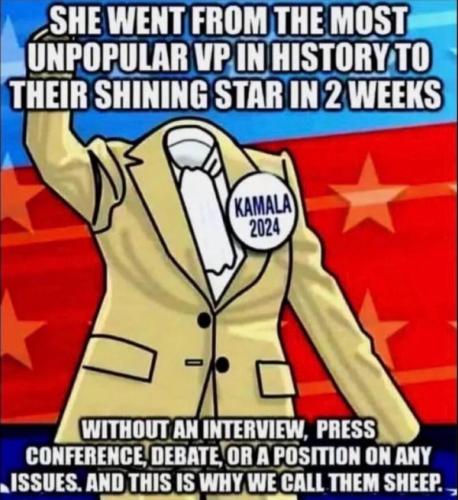 db470d57-7b6e-4851-a92c-0f87412ce6db