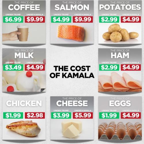 the cost of food - kamala