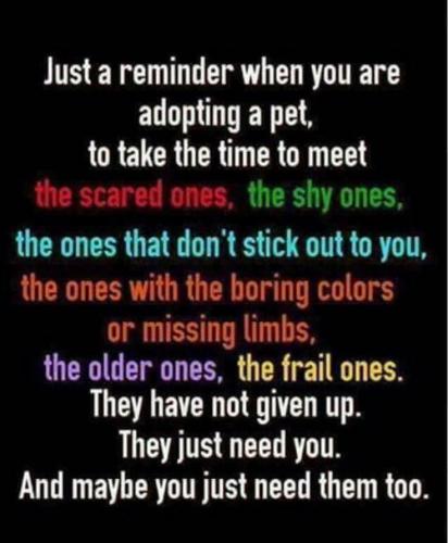 a062b9a2bb8c330946a859adb94a262a