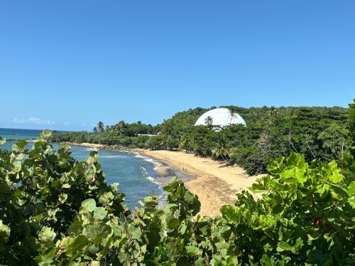 81F99CEF-6DC4-40C1-BCDE-E1F0A6A19C75