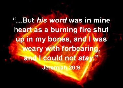 4ff73056-a6b6-4a10-8b57-8d19ab38151b