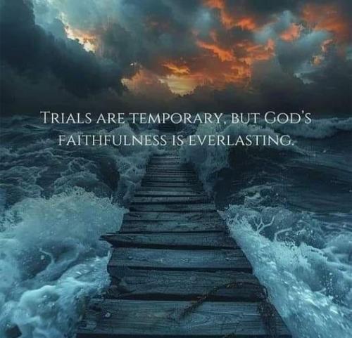 ce19bd86-75c7-4260-942c-3c0b89bc4181