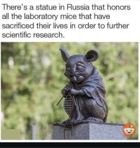 RDT_20240903_1138388936477758196747024