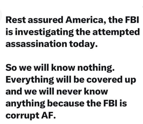 image_EDD779D5-1B38-43EF-82F8-FC2F7CDC9D9D