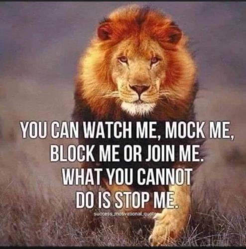 photo_2024-09-19_19-10-56