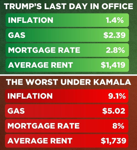 image_2024-09-24_064934480