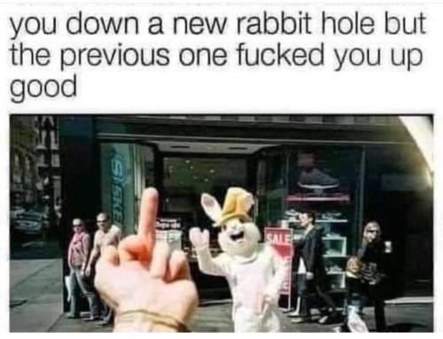 photo_2024-09-22_10-15-02