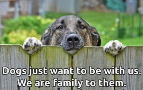 1b85443acffbedb12837e18e4b92aa00