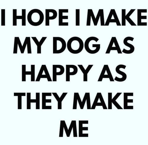 da5bc59cd14b668c458791fdcebf1841