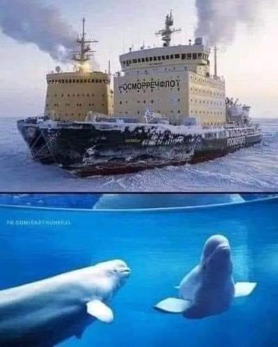 4c4f4e20-2761-472e-a2f7-139f8e00acfe