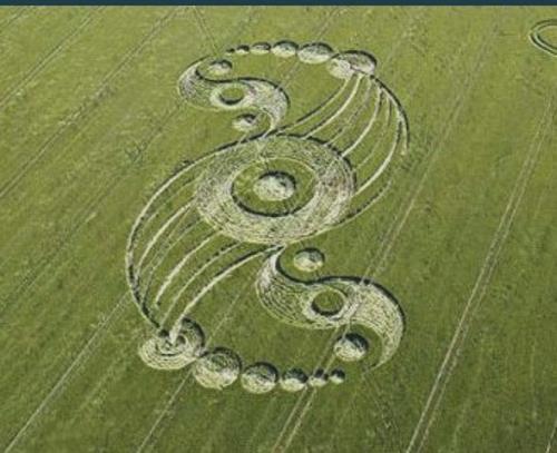 ,                          ,