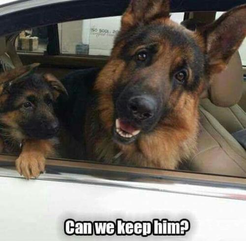 720fa83ed4e5efec37eb509aacb2304d