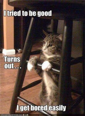 42dd35e98fb2bc327cb3372859b3ca7a