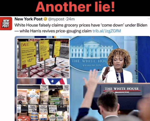 image_2024-09-04_064310359