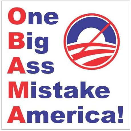 ONE BIG ASS MISTAKE AMERICA