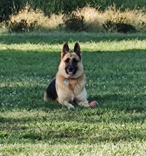 IMG_20230831_180601702~2