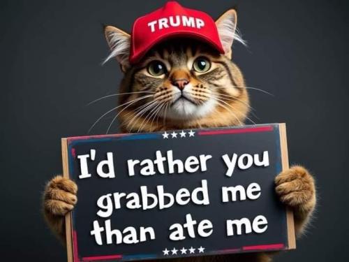 9b222007-fb07-4315-9e2a-38d2826a7e22