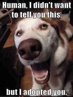 3ec7c2042d054f616a2ca54755e442d9