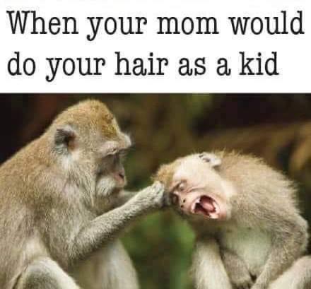 E8C54728-8242-4DF1-9C27-48CE579E8FC1