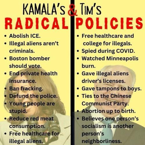 radical policies