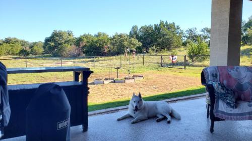 Loving the cooler weather with Finn