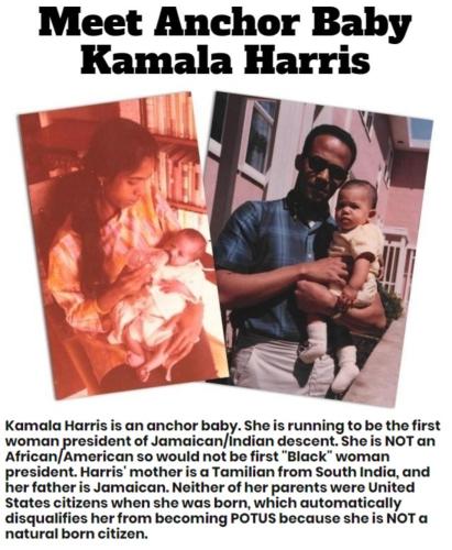 Kamala Harris Is An Anchor Baby