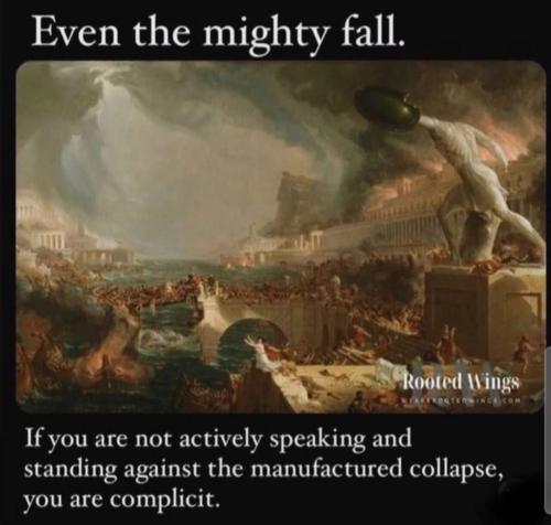 image_9BE9E81F-8777-42F5-9EAB-A92CB2467E30