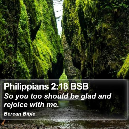 Philippians 2_18