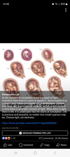 Screenshot_20240915_104815_Facebook