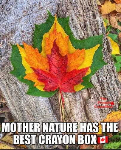 mother nature