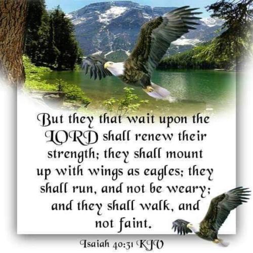 68f19085-1c25-4cab-b4d1-e5af4b55b939