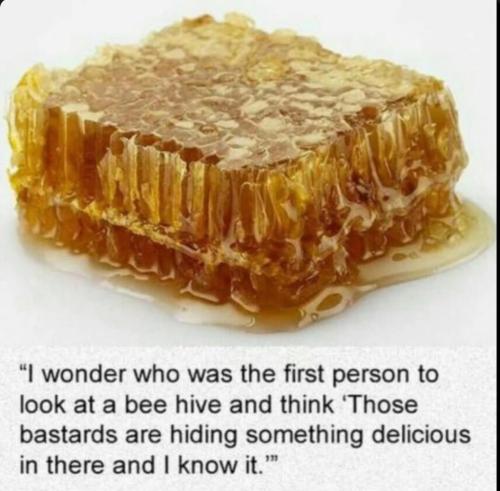 73CCEA32-0A0F-490C-843F-3AABB2B97E1F