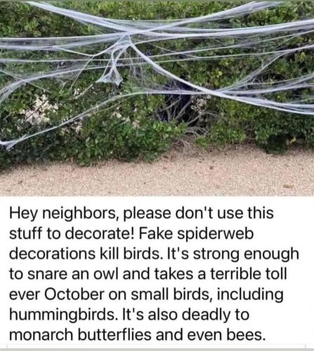 Screenshot_20240911_170530_Chrome