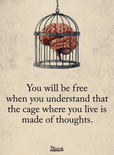 54811ba4-1537-4397-b71f-ff3c05205ed0