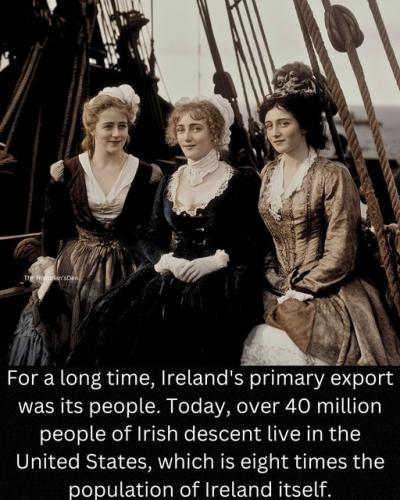 457591937_455045304237150_6702846793604249464_n