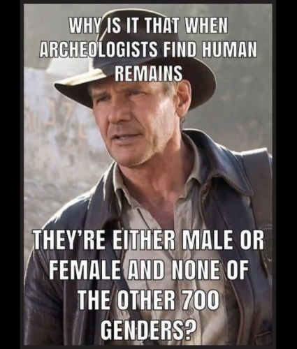 image_2024-09-27_062854924